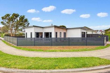 Photo of property in 158 Weraroa Road, Levin, 5510