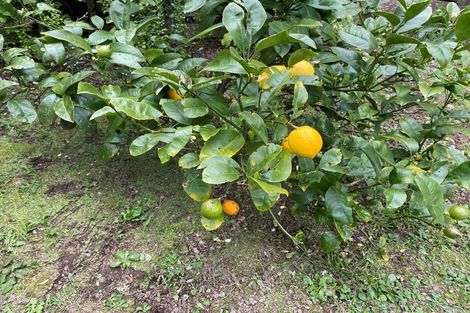 Photo of property in 42-44 Cheshire Street, Cannons Creek, Porirua, 5024