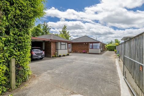 Photo of property in 79a Macarthur Street, Levin, 5510