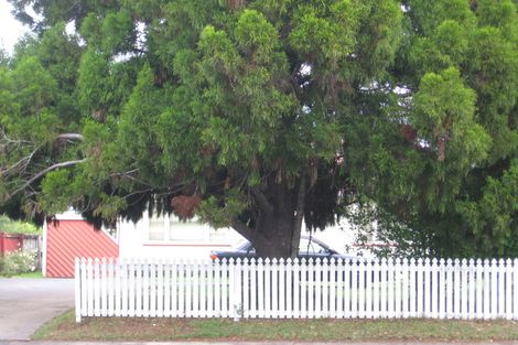 Photo of property in 36 Swanson Road, Henderson, Auckland, 0610