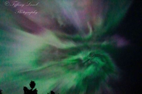 Photo of property in 282 Newhaven Road, New Haven, Owaka, 9585