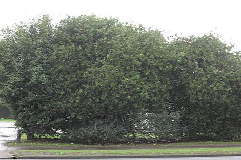 Photo of property in 60 Settlement Road, Papakura, 2110