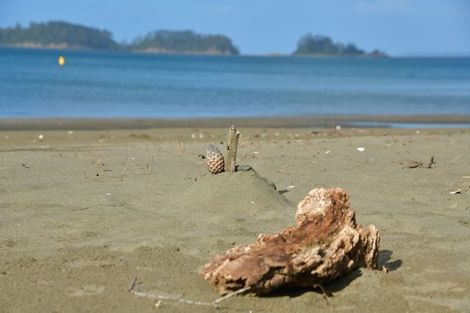 Photo of property in 15 Jackson Crescent, Mahurangi East, Warkworth, 0982