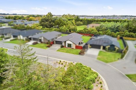 Photo of property in 16 Pallid Green, Rolleston, 7615