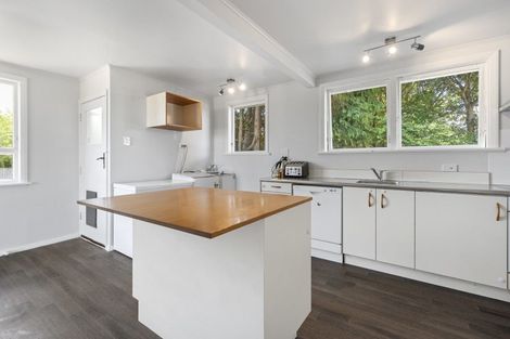 Photo of property in 24 Mahoe Street, Levin, 5510