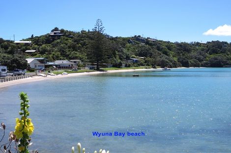 Photo of property in 145 Mannion Road, Wyuna Bay, Coromandel, 3581