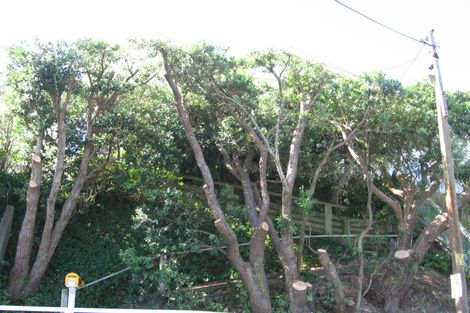 Photo of property in 13 Shannon Street, Mount Victoria, Wellington, 6011