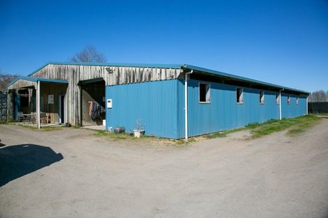 Photo of property in 49 Racecourse Road, Cambridge, 3493