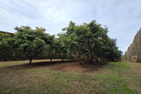 Photo of property in 244 Beach Road, Katikati, 3178