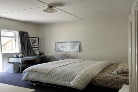 Photo of property in 22 Devon Street, Aro Valley, Wellington, 6021