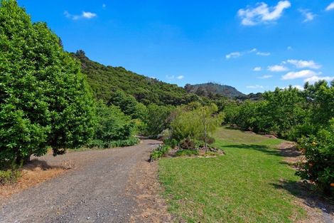 Photo of property in 202 Manawahe Road, Matata, Whakatane, 3194