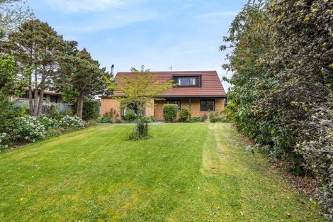 Photo of property in 44 Seadown Crescent, Amberley, 7410