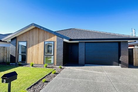 Photo of property in 3 Curtis Street, Woodend, 7610