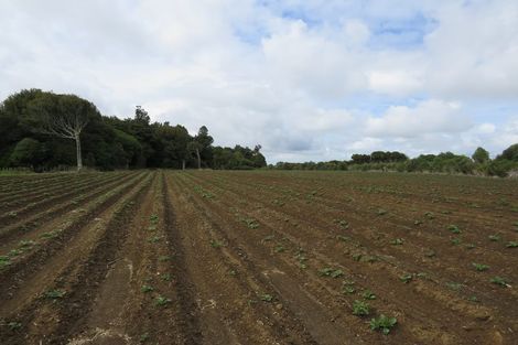 Photo of property in 4 Mile Bush Road, Pukekawa, Tuakau, 2696