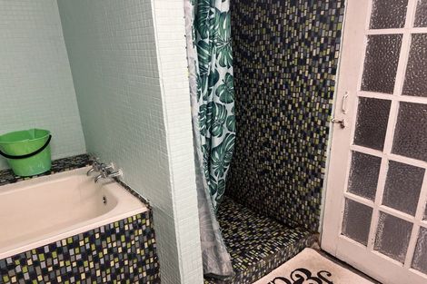 Photo of property in 95 Williamson Avenue, Grey Lynn, Auckland, 1021
