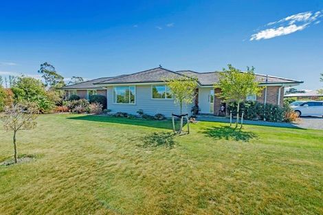 Photo of property in 3 Showground Place, Leeston, 7632