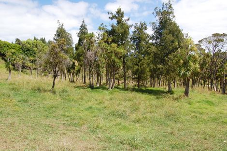 Photo of property in 135 Phillips Road, Kaiwaka, 0573