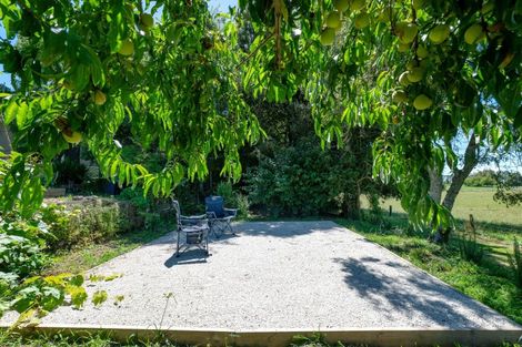 Photo of property in 202 Ngamotu Road, Rerewhakaaitu, Rotorua, 3073