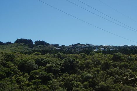 Photo of property in 61 Durham Street, Aro Valley, Wellington, 6021
