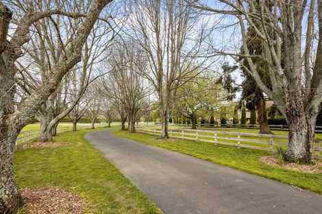 Photo of property in 282 Woodside Road, Matangi, Hamilton, 3284