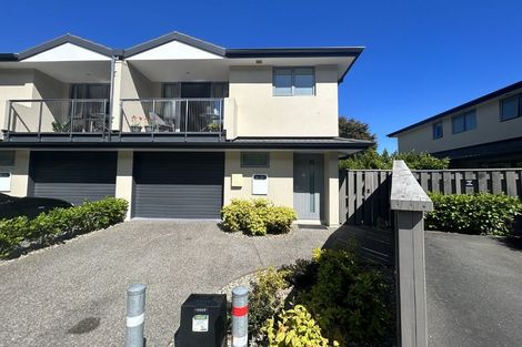 Photo of property in Totara Grove, 41/115 Grove Street, The Wood, Nelson, 7010