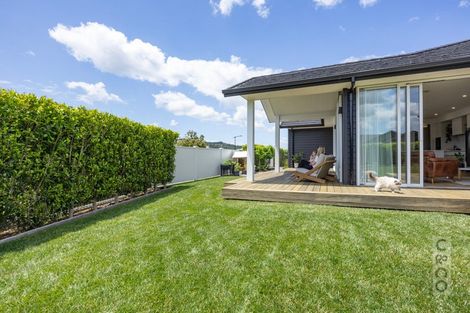 Photo of property in 31 Fruitlands Road, Kumeu, 0810