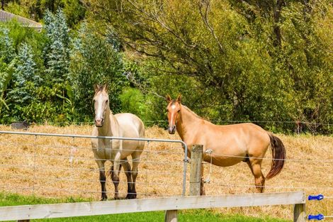 Photo of property in 209 Doctors Hill Road, Maungaturoto, 0588