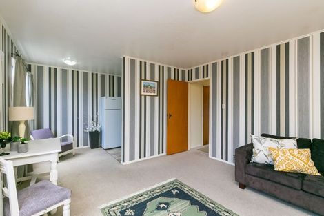 Photo of property in 43e Brunswick Street, Hutt Central, Lower Hutt, 5010