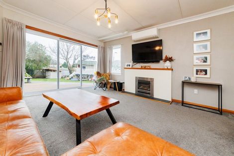 Photo of property in 38 Liverpool Street, Takaro, Palmerston North, 4412