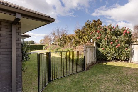 Photo of property in 134 Margaret Drive, Omokoroa, 3114