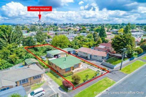 Photo of property in 64 Pine Avenue, Melville, Hamilton, 3206