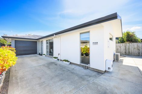 Photo of property in 65b Albert Street, Palmerston North, 4414
