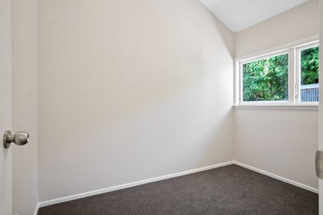 Photo of property in 1/20 Domett Avenue, Epsom, Auckland, 1023