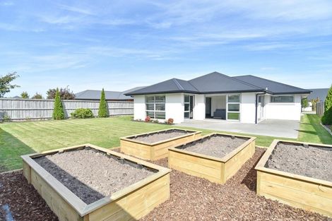 Photo of property in 7 Reeves Road, Rangiora, 7400