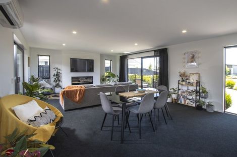 Photo of property in 55 Berryfield Drive, Richmond, 7020