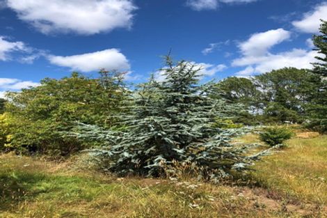 Photo of property in 42-44 Roseness Street, Palmerston, 9430