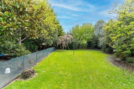 Photo of property in 26 Johnson Street, Milton, 9220