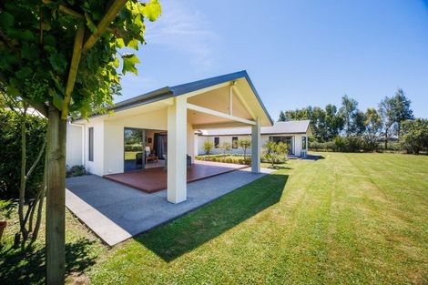 Photo of property in 572 Taonui Road, Colyton, Feilding, 4775