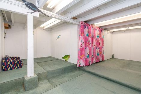 Photo of property in 35 St Marys Road, Saint Marys Bay, Auckland, 1011