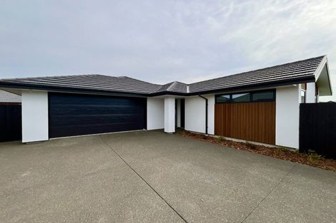 Photo of property in 12 Kildare Street, Belfast, Christchurch, 8051