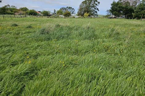 Photo of property in 49 Bright Street, Eketahuna, 4900