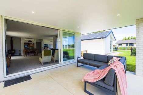 Photo of property in 7 Fairview Place, Levin, 5510