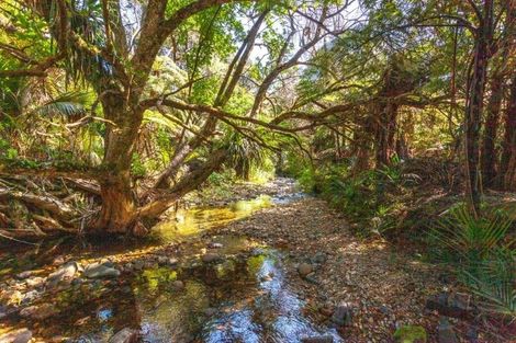 Photo of property in 877 Tiki Quarry Road, Preece Point, Coromandel, 3581