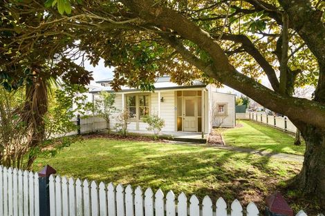 Photo of property in 53 Manson Street, Terrace End, Palmerston North, 4410