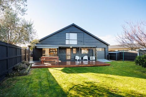 Photo of property in 141 Oxford Street, Ashhurst, 4810
