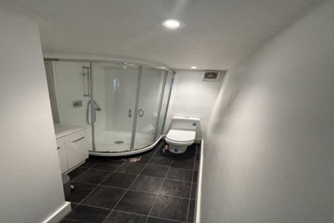 Photo of property in 164a Hanson Street, Newtown, Wellington, 6021