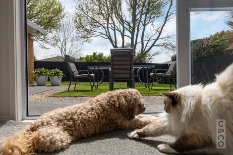 Photo of property in 27 Merlot Heights, Huapai, Kumeu, 0810