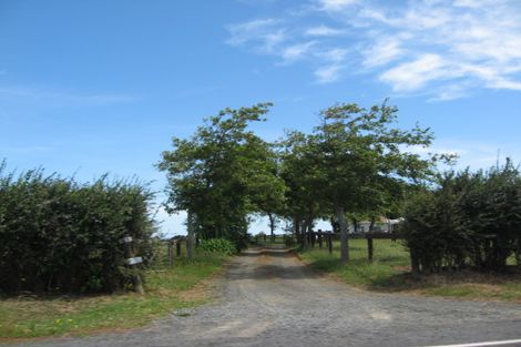 Photo of property in 175 Clarks Beach Road, Clarks Beach, Pukekohe, 2679