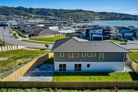 Photo of property in 113 Queen Charlotte Drive, Aotea, Porirua, 5024
