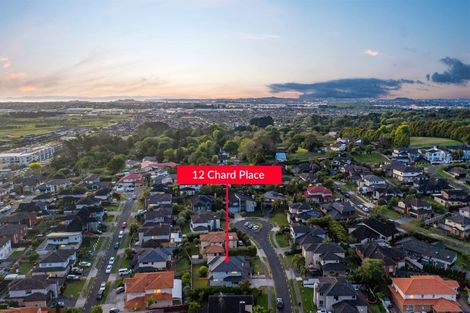 Photo of property in 12 Chard Place, Flat Bush, Auckland, 2016